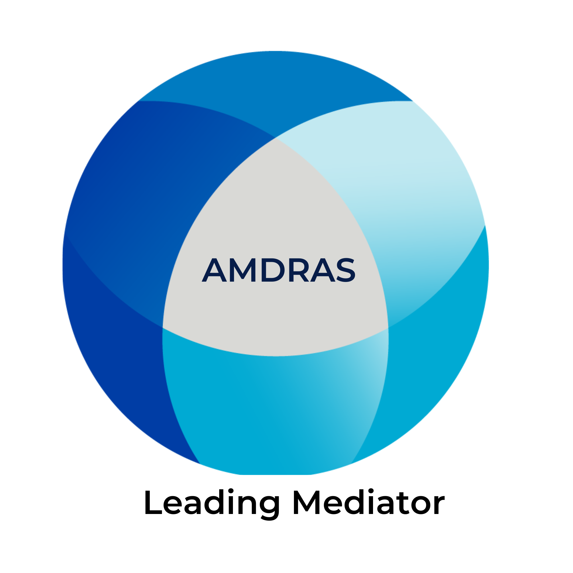 Leading Mediator Logo